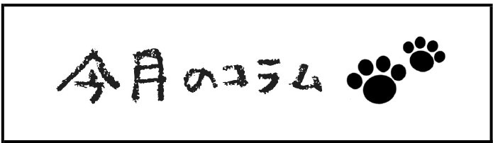 今月のコラム